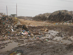 Dandora Dump