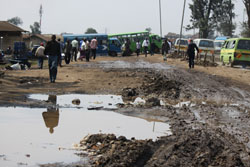 The road to the recycling site